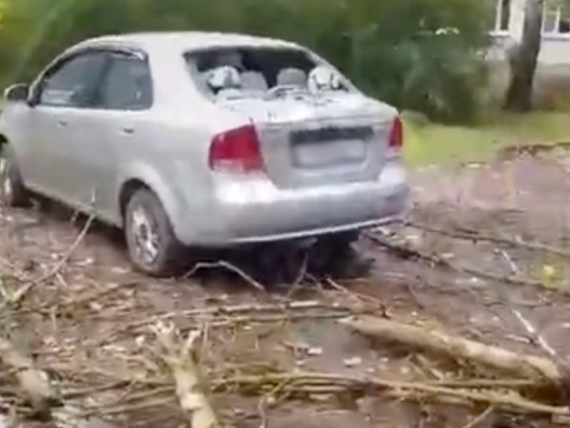 Соцсети: в Смоленске дерево упало на автомобили