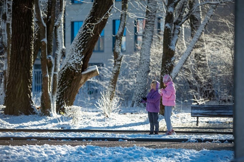 Новая неделя в Смоленской области пройдет под знаком слабых морозов