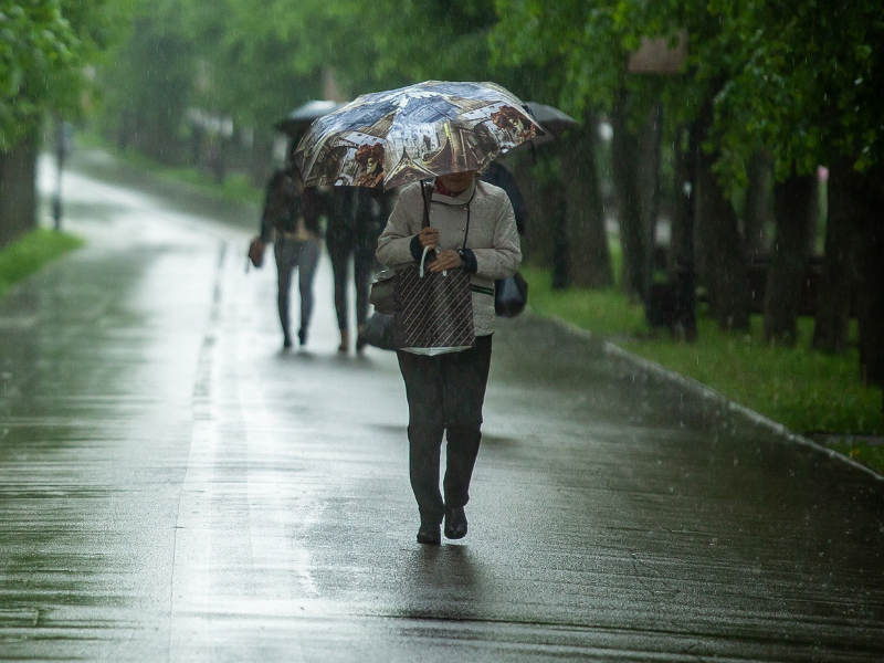 На Смоленщине второй день лета встретит кратковременным дождем