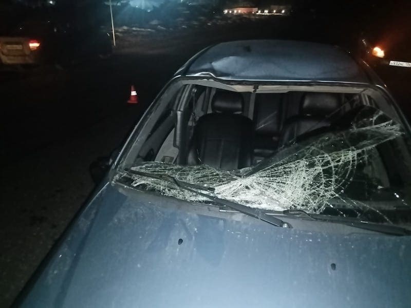 В Смоленской области автоледи сбила троих пешеходов на обочине дороги