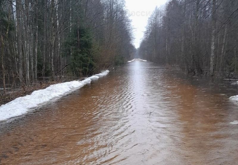 В Смоленской области затоплена еще одна дорога