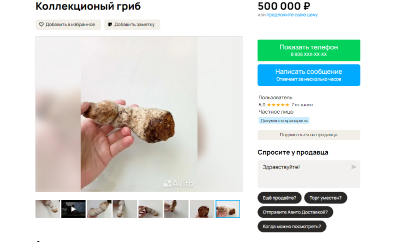 В Смоленске продают "коллекционный гриб" за 500 000 рублей