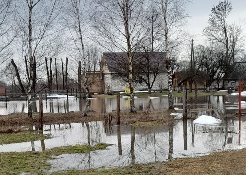 В Смоленской области затопило более 20 приусадебных участков в двух районах