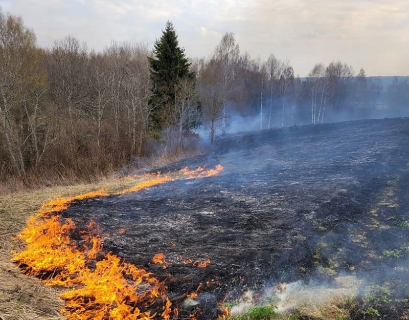 В Смоленской области зарегистрирован первый в этом году лесной пожар