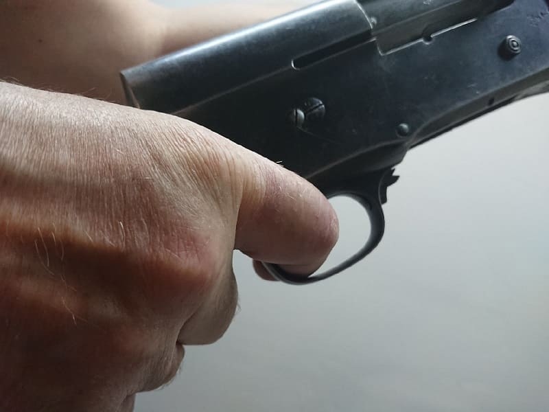 За месяц в Смоленской области росгвардейцы изъяли 32 единицы оружия