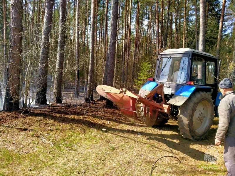 В Темкинском районе Смоленщины произошел лесной пожар