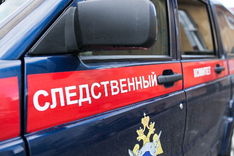 В Смоленской области заключили под стражу подростков, до смерти забивших сверстника