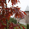 Осень в Смоленске