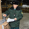 В Смоленскую область пытались ввезти миллион пачек безакцизных сигарет за раз