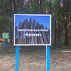 В Смоленской области откроют 10 экологических троп