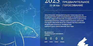 В Смоленской области завершилось электронное предварительное голосование «Единой России»