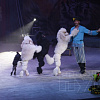 Дворец спорта "Юбилейный" в Смоленске открылся цирковым представлением братьев Запашных.