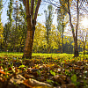 Осень в Смоленске