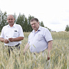 Главный агроном хозяйства А. Козлов (слева) и председатель ПСК «Новомихайловский» А. Калугин