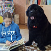 «Сказки для собаки» - это совместный проект кинологический центр «Гранд» и Смоленской областной библиотеки для детей и молодёжи имени И. С. Соколова-Микитова