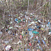 В Смоленской области памятник природы утопает в мусоре 