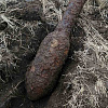 В Смоленске, у железной дороги, нашли фугасную мину