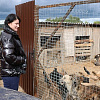 Фонд «СозИдаНие» Сергея Неверова побывал в гостях в приюте для животных
