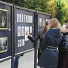 В Смоленске открылась художественная выставка под открытым небом