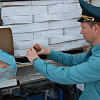В Смоленской области пресекли контрабанду более 20 тонн рыбы 