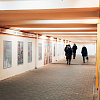 Экспозиция судеб. В подземном переходе открылась выставка Смоленского госуниверситета