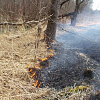 В Смоленской области предотвратили лесной пожар