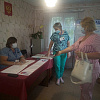 Елена Матюшова: «В глубинке процесс голосования организован на достойном уровне»