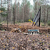 В «Смоленском Поозерье» неподалеку от Пржевальского появится новый вольер для зубров
