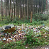 326 мешков мусора. Эко-активисты расчищали свалку в лесу под Смоленском