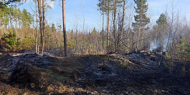 В Смоленской области обнаружили очередной лесной пожар