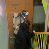 Ночью в Смоленске из пожара спасли женщину и двоих детей