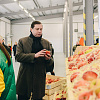 В Смоленской области реализуют масштабный «яблочный» инвестпроект