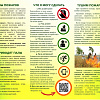 В Смоленской области создан оперштаб по охране лесов от пожаров