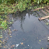 «Хоть на лодке плыви» Смоленское село затопила канализация