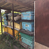 Запасные домики для пчел хранятся под навесом.
