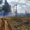 В Смоленской области зарегистрирован первый в этом году лесной пожар