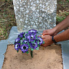 В Смоленской области «доброхоты» благоустроили могилы участников войны