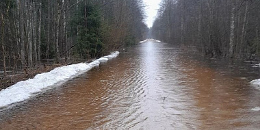 В Смоленской области затоплена еще одна дорога