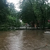 «Водопады и поваленные ЛЭП». Погодный апокалипсис в райцентре Смоленской области