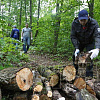 В Смоленске в Реадовском парке очистили «тропу здоровья» 