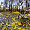 Золотая осень пришла в Смоленск