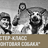Жителям Смоленской области расскажут о подвигах фронтовых собак