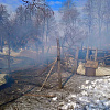 В Смоленской области пожар унес жизни 85 животных