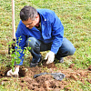 Волонтеры Смоленского отделения Сбера высадили сад для воспитанников центра «Родник» в рамках проекта «Зеленый Марафон»