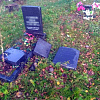 Из соцучреждения в Смоленской области сбежали 3 подростка и разгромили кладбище