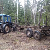 В Смоленской области «черный лесоруб» предстанет перед судом