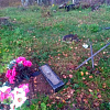 Из соцучреждения в Смоленской области сбежали 3 подростка и разгромили кладбище