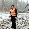 Путь «из леса в саженцы»: как проходит лесозаготовка в Смоленской области