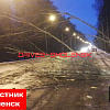 В Смоленском районе дерево упало на дорогу