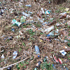 В Смоленской области памятник природы утопает в мусоре 